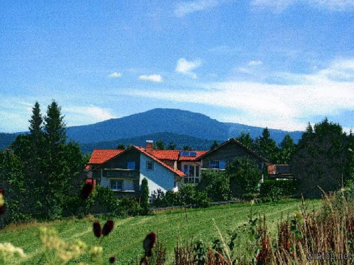 Pension Landhaus Hochfeld 茨维泽尔 外观 照片
